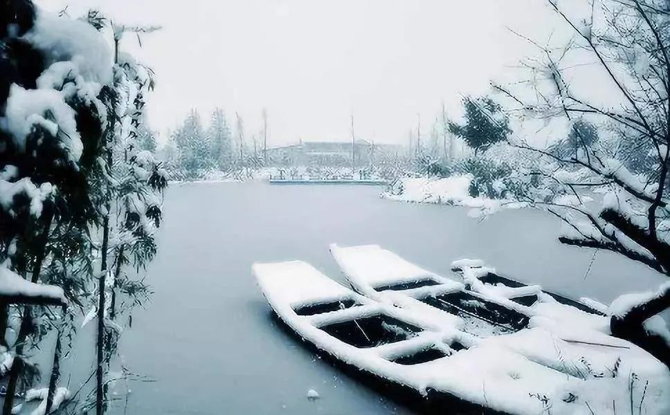 雪是冬天的情诗,也是这忙碌世界上无与伦比的浪漫;酒是冬天的希冀