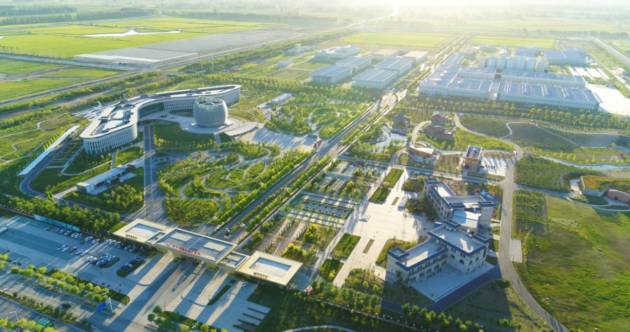 放开新品定制口子、赋能大商，伊力特在下一盘什么棋？