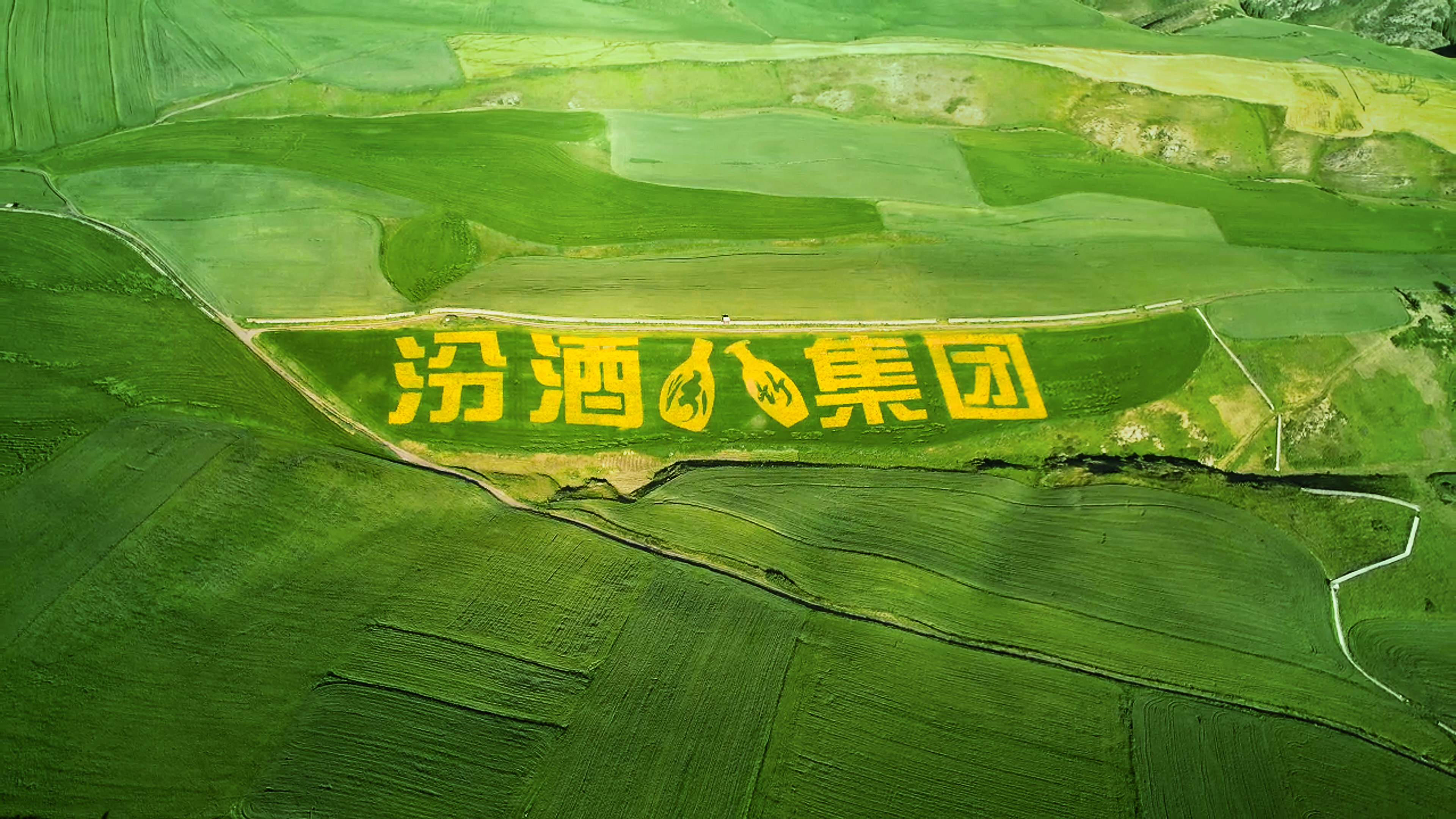 五载粮心路，一部品质史：汾酒第一车间深入新疆奇台！