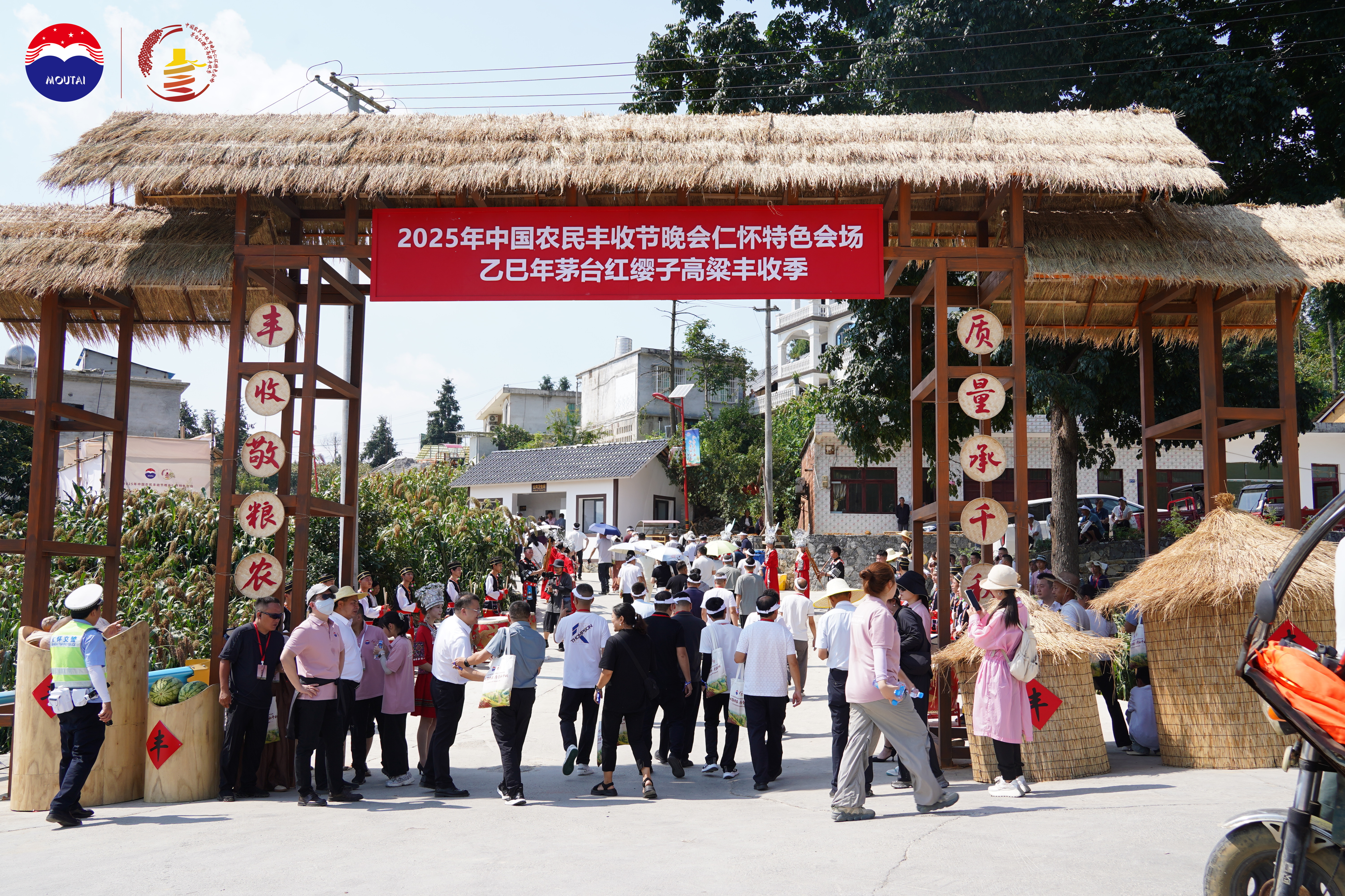 茅台红缨子高粱丰收季礼赞农耕，用一粒种子唱响乡村振兴幸福歌