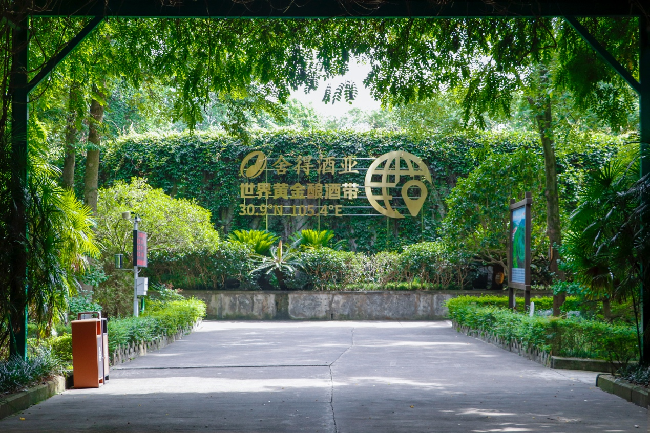 剧透！“舍得自在”新品外观曝光，这场“轻负担”的低度革命瞄准了谁？