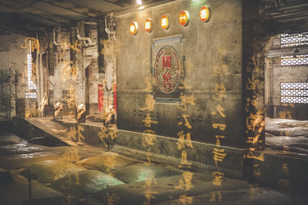 以务实锚定当下，以远见蓄力未来：泸州老窖三季度夯实根基