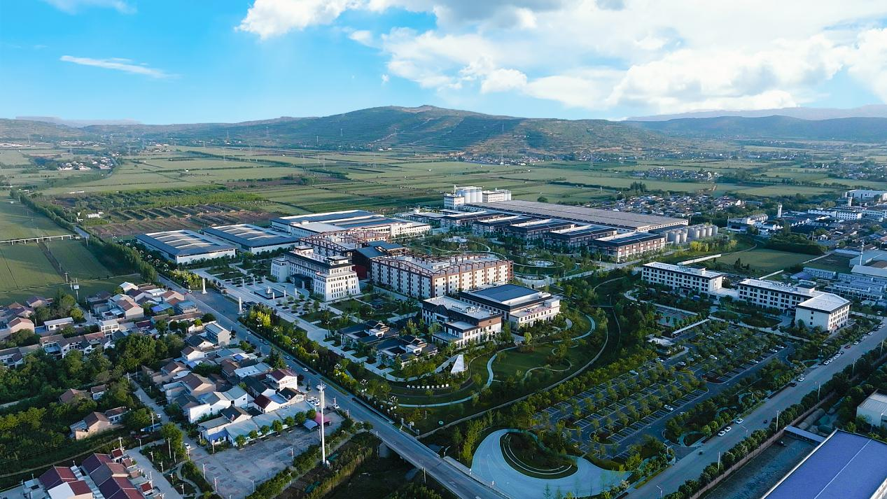 柳林酒：激发全渠道精耕动力，迈向深处去