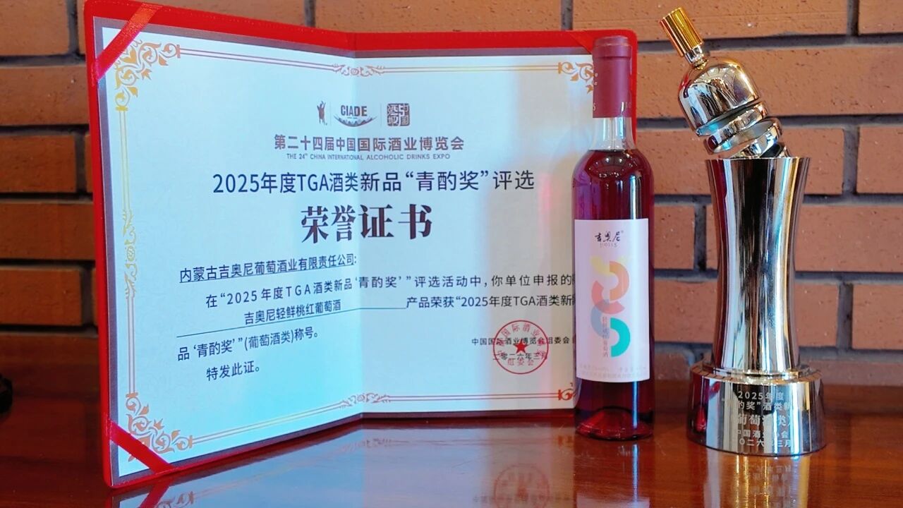 再添佳绩！吉奥尼斩获新奖项