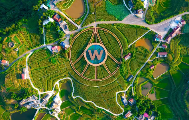 天地人共酿——宜宾风土滋养五粮液