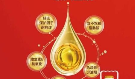 打破成本与品质的二元对立：中粮福掌柜如何重构餐饮后厨的价值链模型