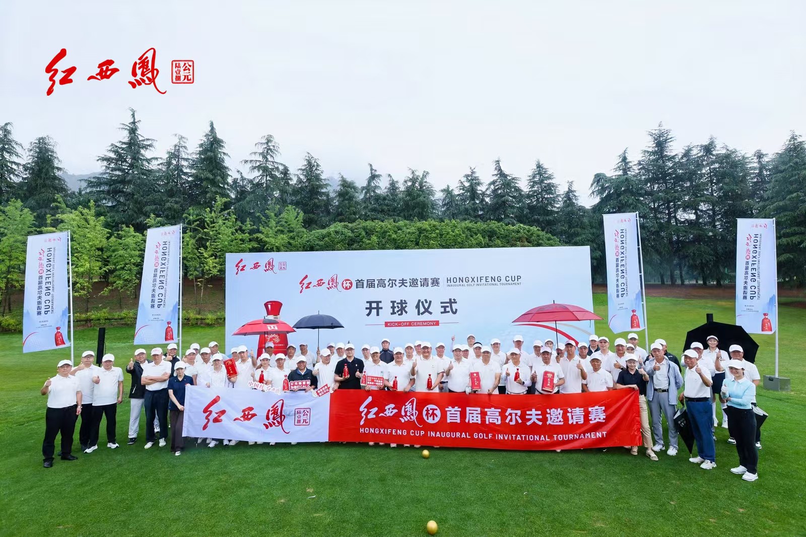 在绿茵草场激情挥杆，红西凤挥出圈层深耕的精彩弧线