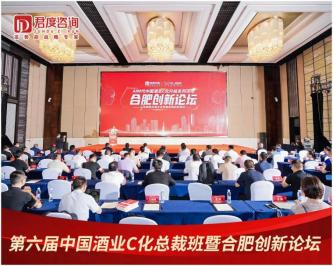 AI时代酒业如何“C化”突围？合肥创新论坛给出破局答案
