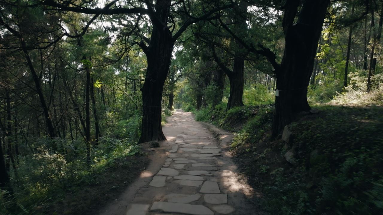 君品谈古道 | 千年蜀道上,与君子同行