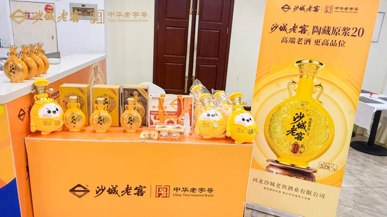“沙城老窖杯”第三届全国新闻媒体匹克球邀请赛在衡水举行